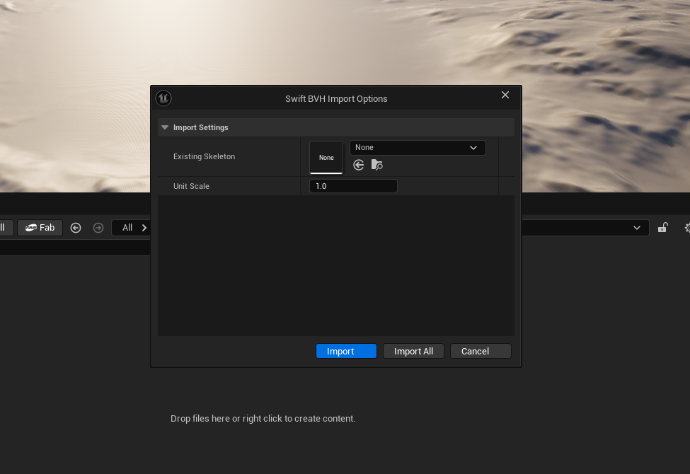 Import Options Window