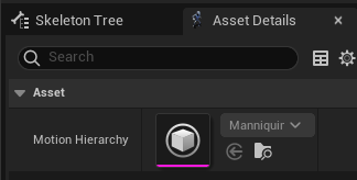 skeleton_hierarchy_retargetable_asset_details_tab